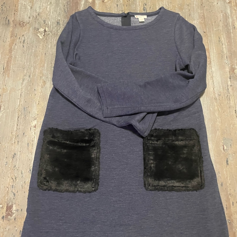 Girls J.Crew Dress size XL